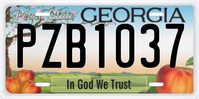 GA license plate PZB1037