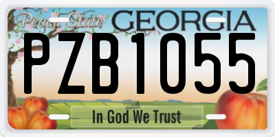 GA license plate PZB1055
