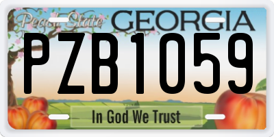 GA license plate PZB1059
