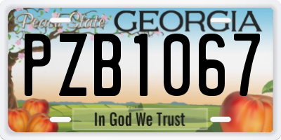 GA license plate PZB1067