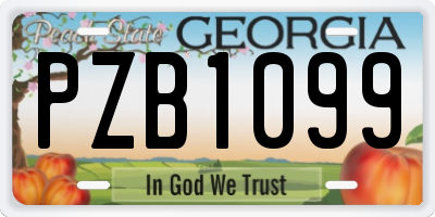 GA license plate PZB1099