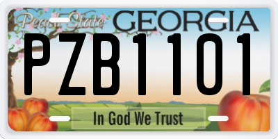 GA license plate PZB1101