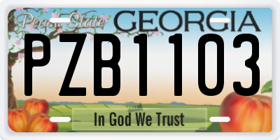 GA license plate PZB1103