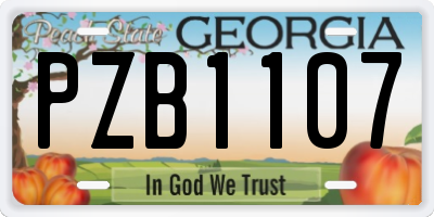 GA license plate PZB1107
