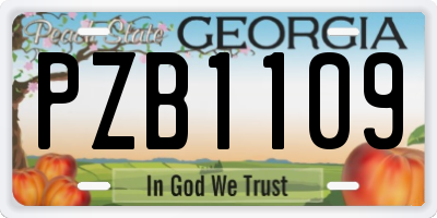 GA license plate PZB1109