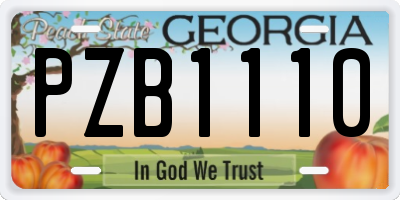 GA license plate PZB1110