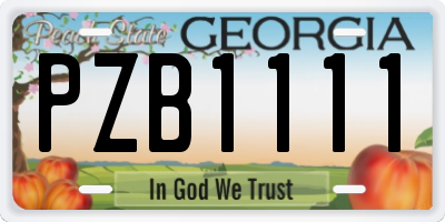 GA license plate PZB1111