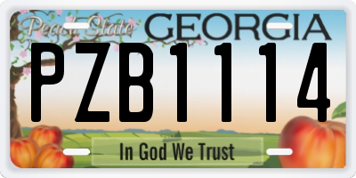 GA license plate PZB1114