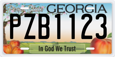 GA license plate PZB1123