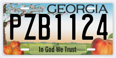 GA license plate PZB1124