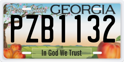 GA license plate PZB1132