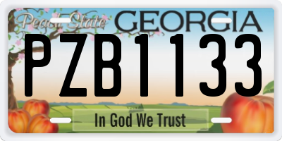 GA license plate PZB1133