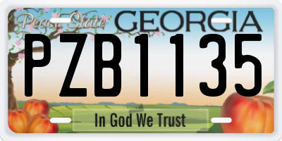 GA license plate PZB1135