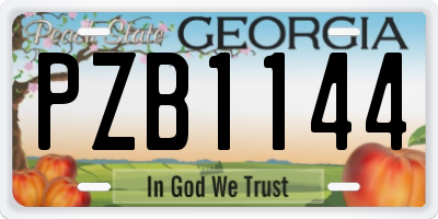 GA license plate PZB1144