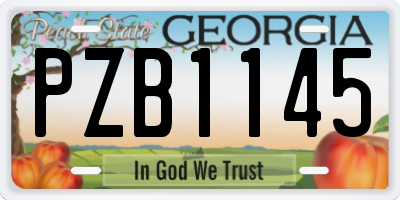 GA license plate PZB1145