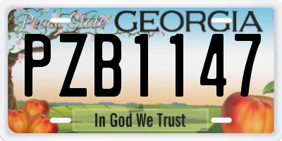 GA license plate PZB1147