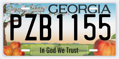 GA license plate PZB1155