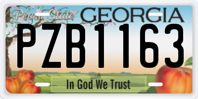 GA license plate PZB1163