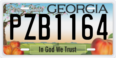 GA license plate PZB1164