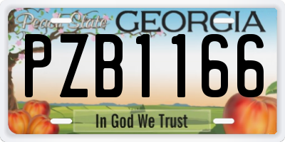 GA license plate PZB1166