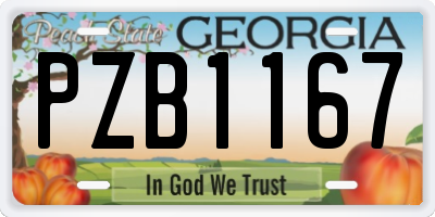 GA license plate PZB1167