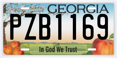 GA license plate PZB1169
