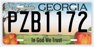 GA license plate PZB1172