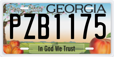 GA license plate PZB1175