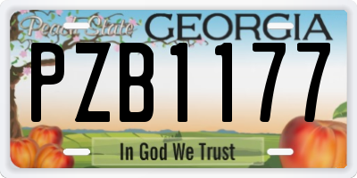 GA license plate PZB1177