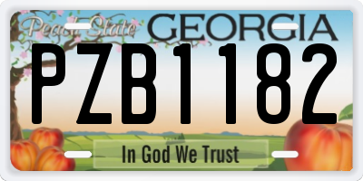 GA license plate PZB1182