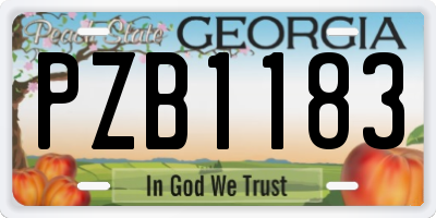GA license plate PZB1183