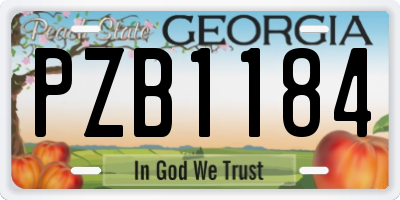 GA license plate PZB1184