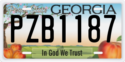 GA license plate PZB1187