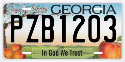 GA license plate PZB1203