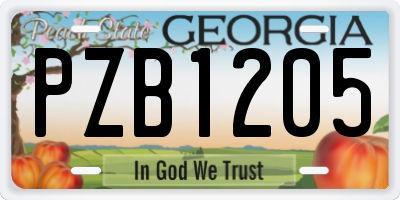 GA license plate PZB1205