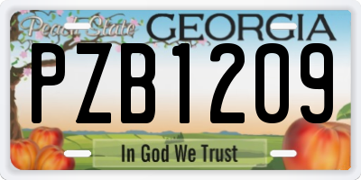 GA license plate PZB1209