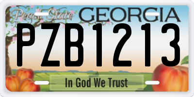 GA license plate PZB1213