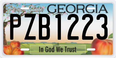 GA license plate PZB1223