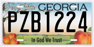 GA license plate PZB1224