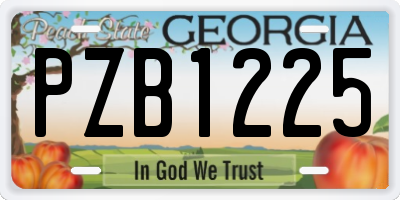 GA license plate PZB1225