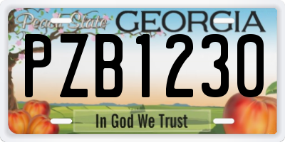 GA license plate PZB1230
