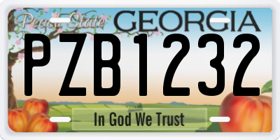 GA license plate PZB1232