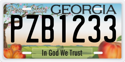 GA license plate PZB1233