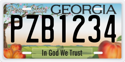 GA license plate PZB1234