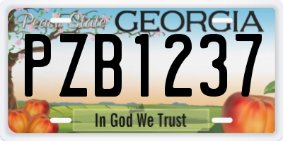 GA license plate PZB1237