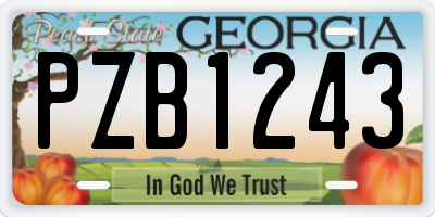 GA license plate PZB1243