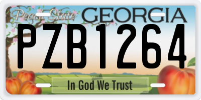 GA license plate PZB1264
