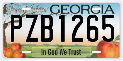 GA license plate PZB1265