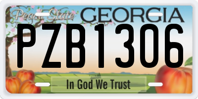 GA license plate PZB1306