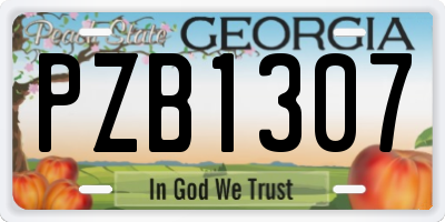 GA license plate PZB1307
